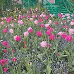 Bed & Breakfast Forest Farm Bois-Jerome-Saint-Ouen