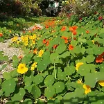 Bed & Breakfast Forest Farm 3*