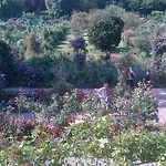 Forest Farm