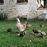 Bed & Breakfast Forest Farm Bois-Jerome-Saint-Ouen