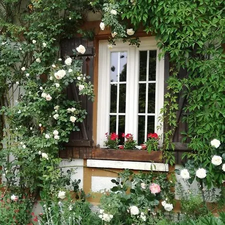 Bed & Breakfast Forest Farm