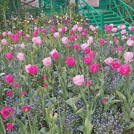 Bed & Breakfast Forest Farm Bois-Jerome-Saint-Ouen