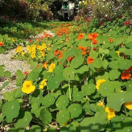 Bed & Breakfast Forest Farm *