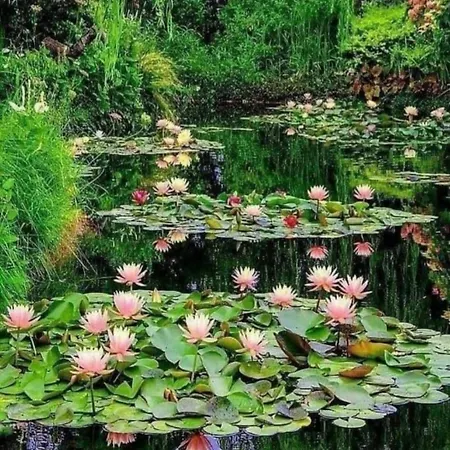 Bed & Breakfast Forest Farm