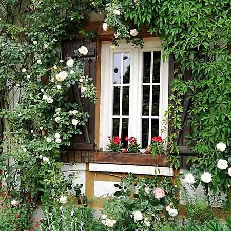 Forest Farm