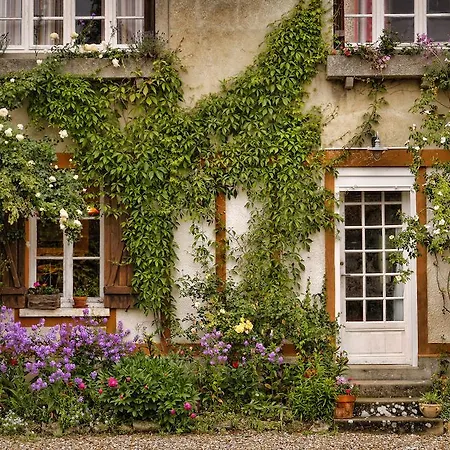 Forest Farm Bed & Breakfast *