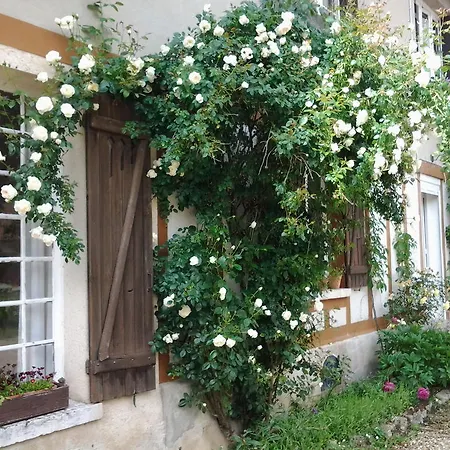 Bed and Breakfast Forest Farm