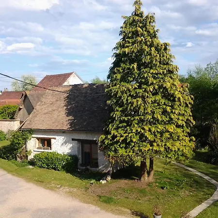 Forest Farm