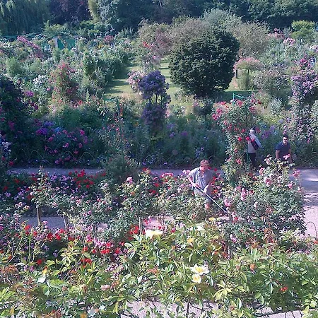 Forest Farm
