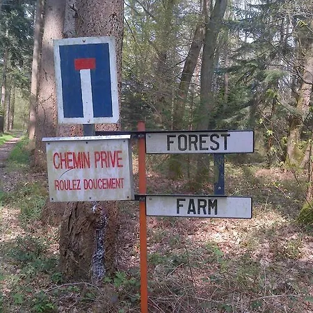 Frühstückspension Forest Farm *