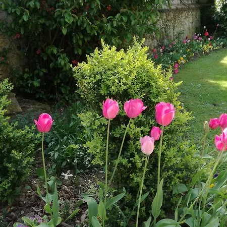 Forest Farm Bed & Breakfast Bois-Jerome-Saint-Ouen