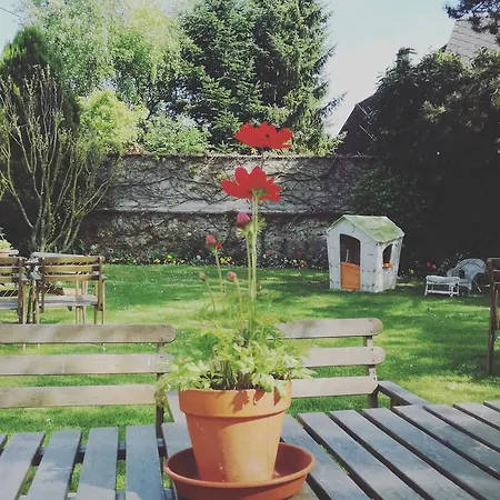 Bed & Breakfast Forest Farm