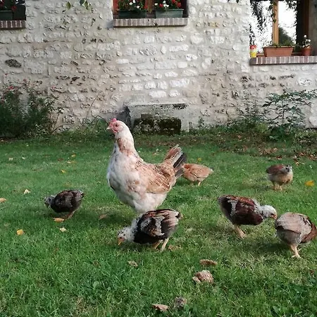 Bed & Breakfast Forest Farm Bois-Jerome-Saint-Ouen
