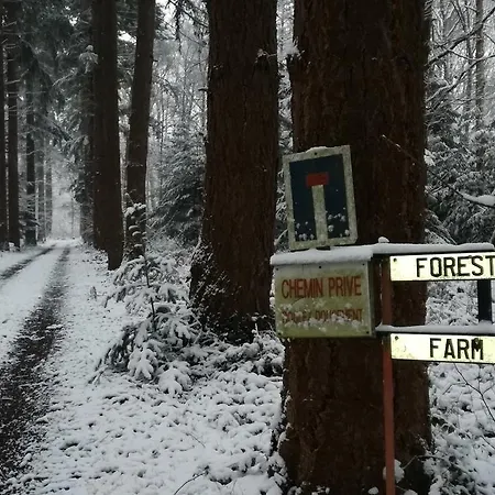 Forest Farm Frühstückspension Bois-Jerome-Saint-Ouen