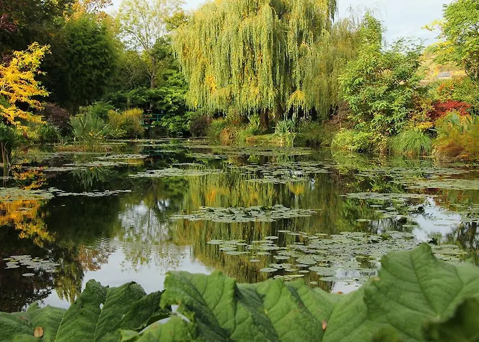 Couette-café Forest Farm Bois-Jerome-Saint-Ouen